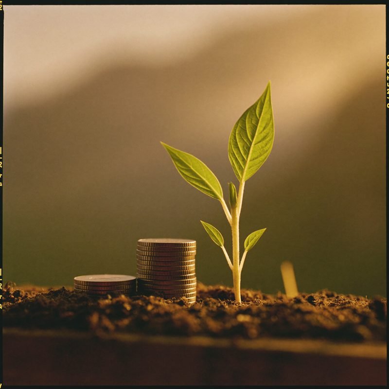 Optimisation fiscale